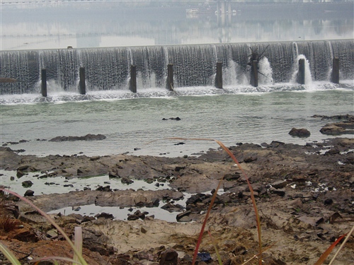 查看更多精彩圖片